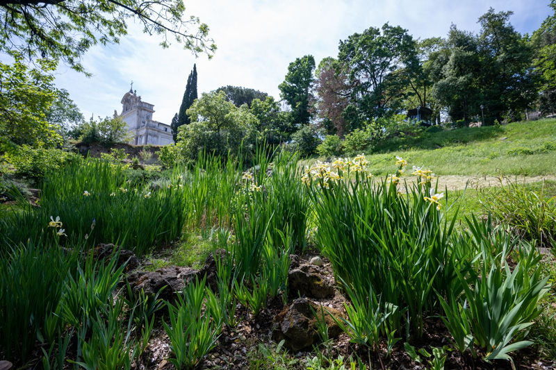 era di maggio all'orto botanico di roma