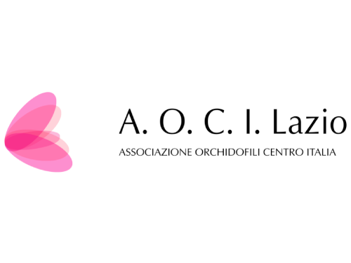 logo aoci